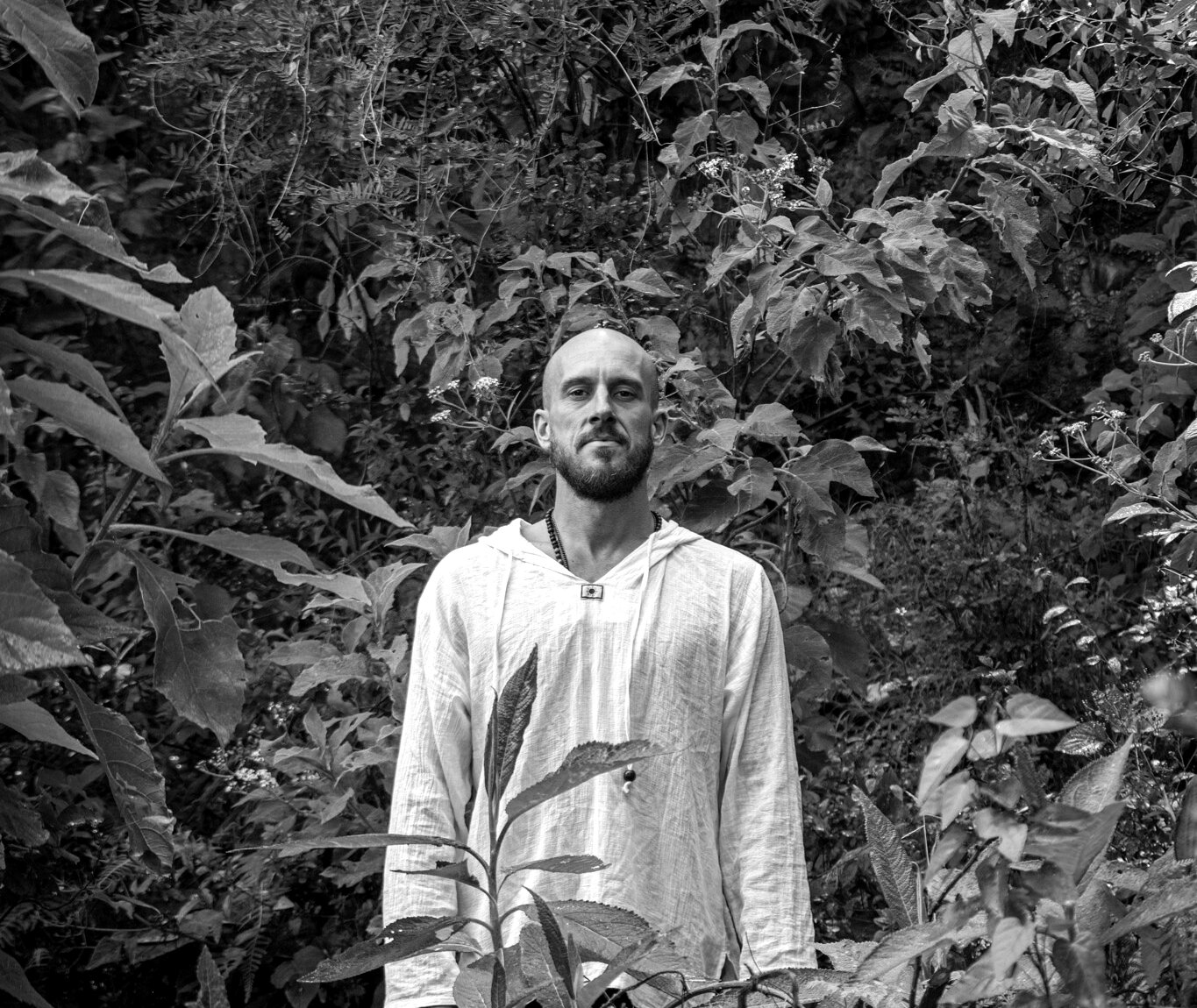 Shaun Kay standing in dense forest